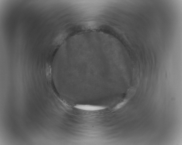 X0000066010624200603171507