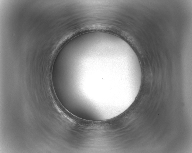 X0000066010625200603171506