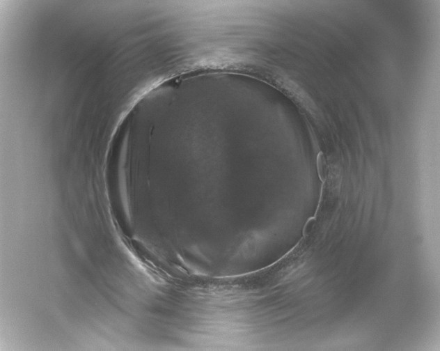 X0000066010626200603171506