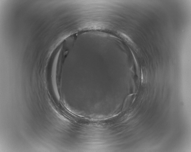 X0000066010627200603171506