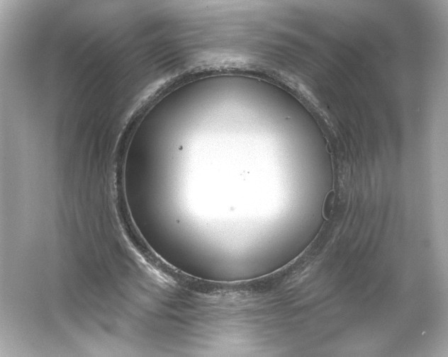 X0000066010629200603171507