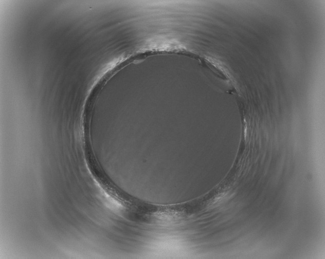 X0000066010630200603171507