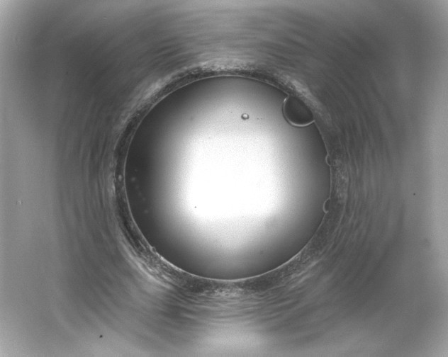 X0000066010631200603171507