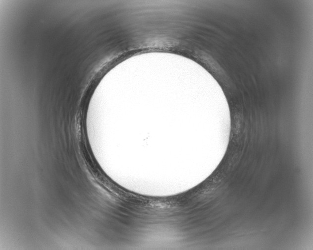 X0000066010632200603171507