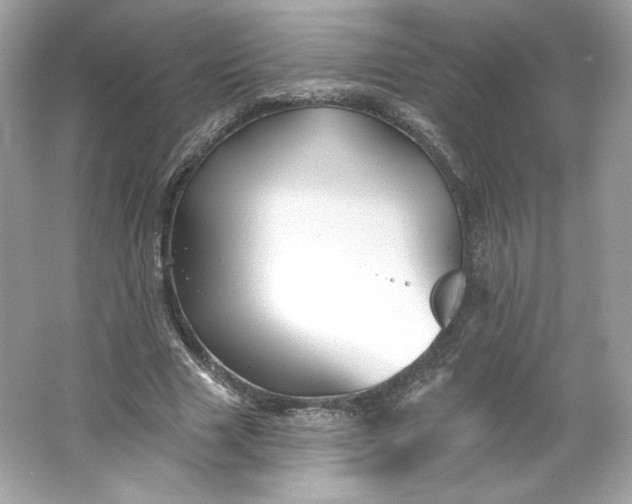 X0000066010633200603171507