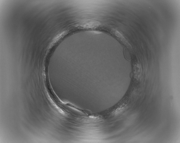 X0000066010634200603171507