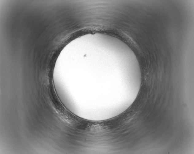 X0000066010635200603171507