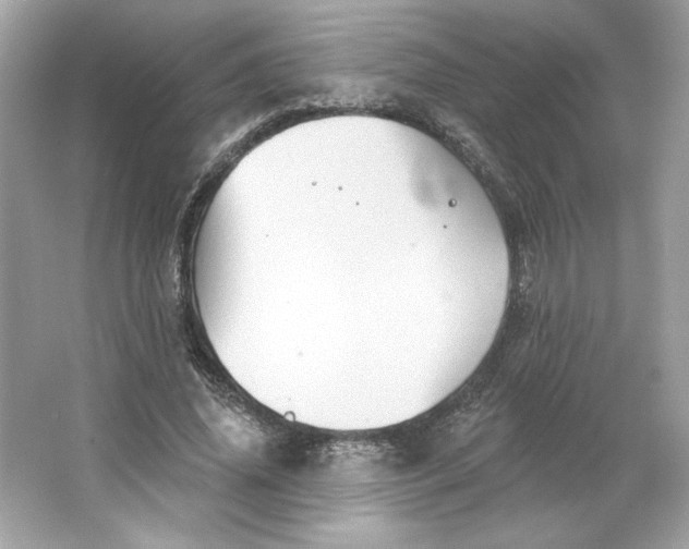 X0000066010636200603171507