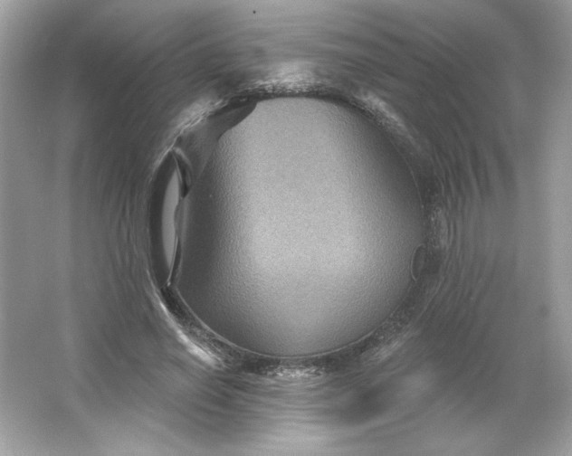 X0000066010638200603171507