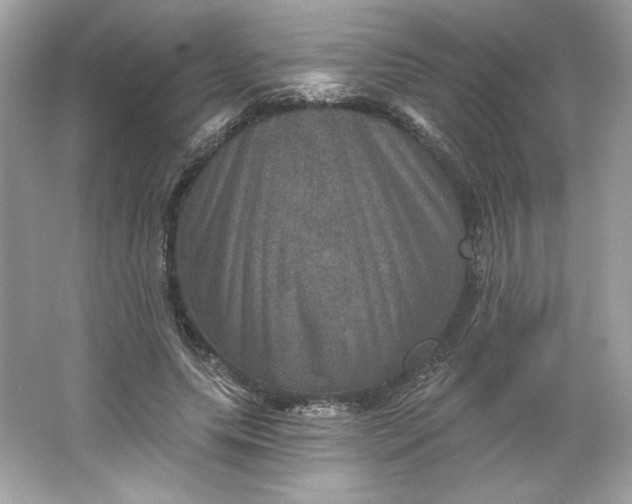 X0000066010639200603171507