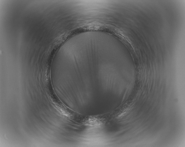 X0000066010641200603171507