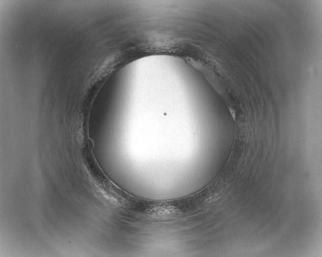 X0000066010642200603171507