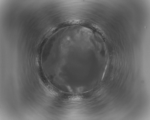 X0000066010643200603171507