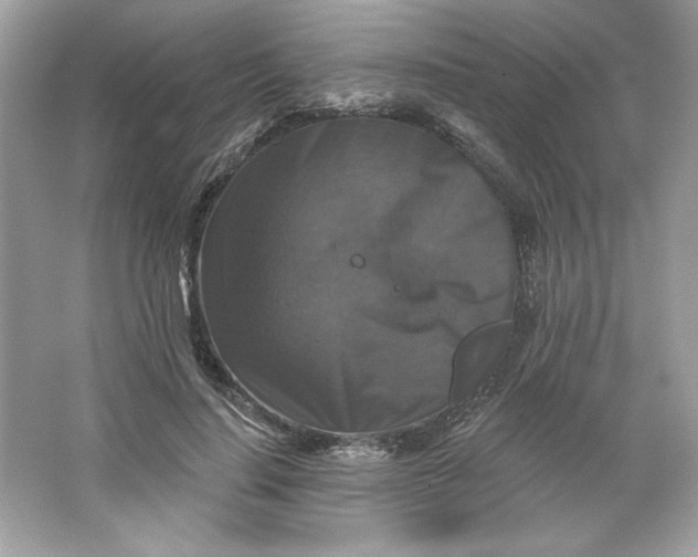 X0000066010644200603171507