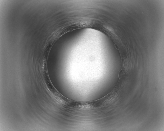 X0000066010645200603171507