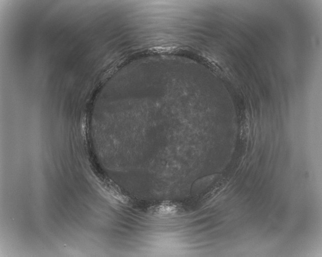 X0000066010647200603171507