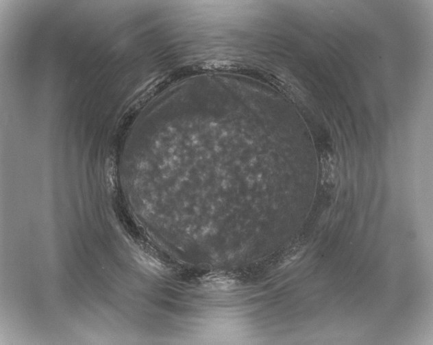 X0000066010648200603171507