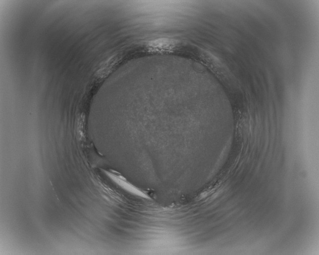 X0000066010649200603171507