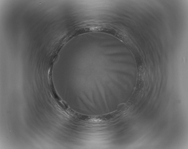 X0000066010650200603171507