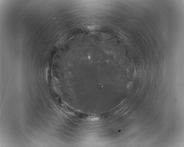 X0000066010651200603171507