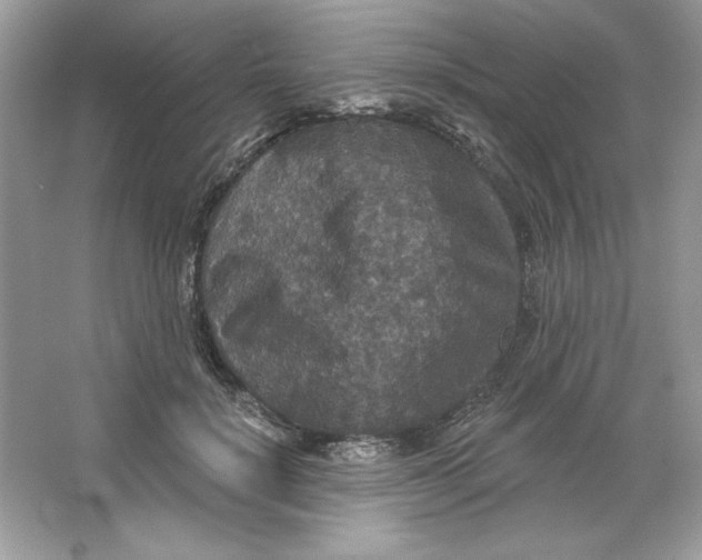 X0000066010652200603171507