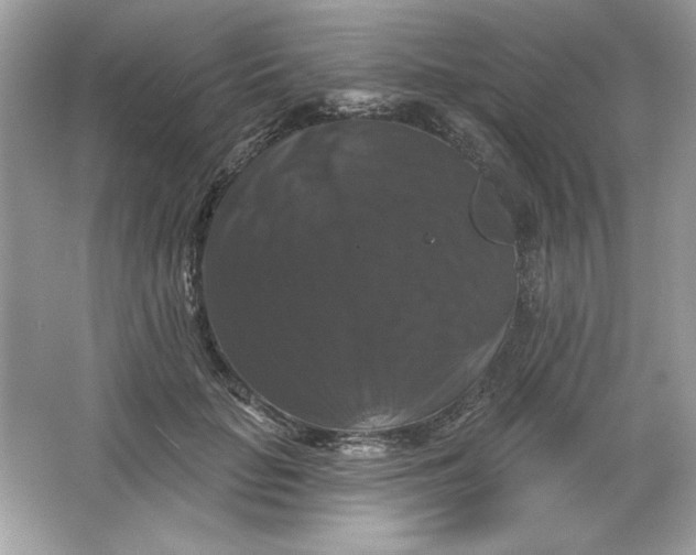 X0000066010653200603171507