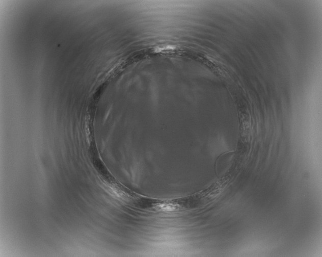 X0000066010654200603171507