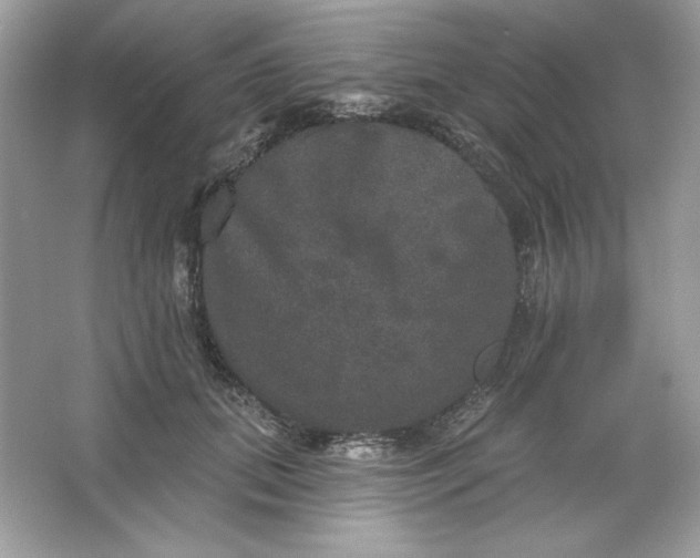 X0000066010655200603171507