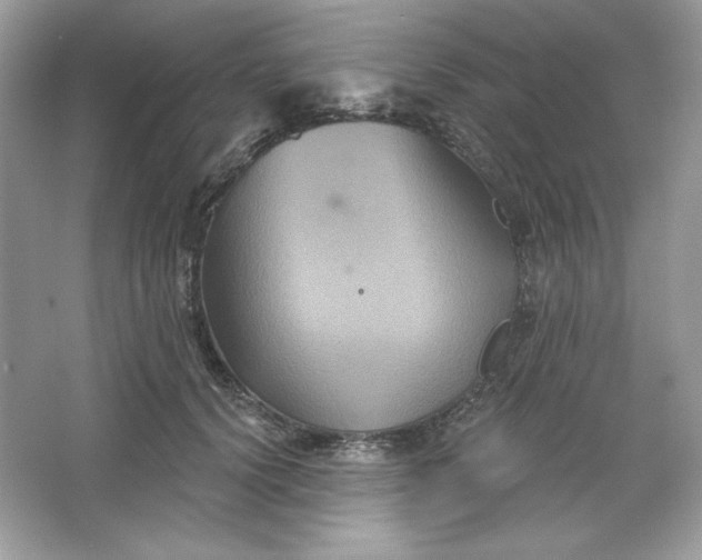 X0000066010656200603171507