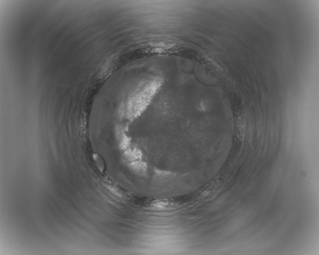 X0000066010657200603171507