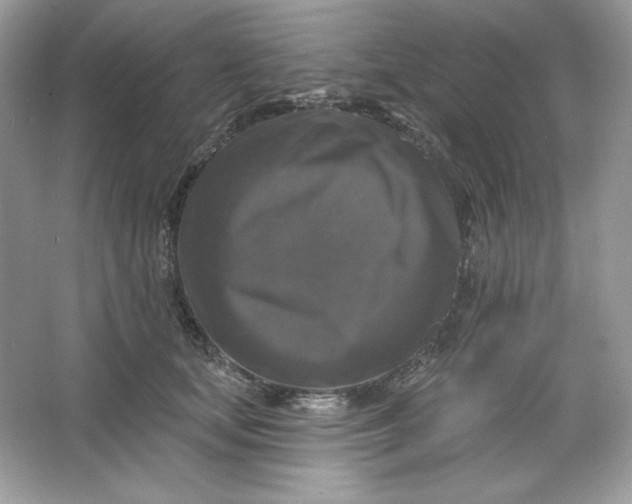 X0000066010659200603171507