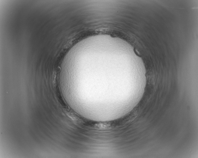 X0000066010660200603171507