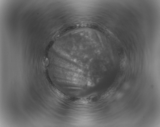 X0000066010661200603171507