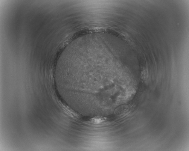 X0000066010662200603171507