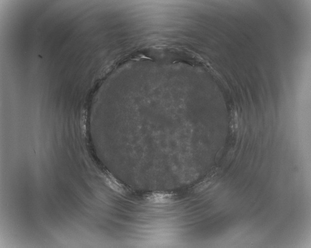 X0000066010664200603171507