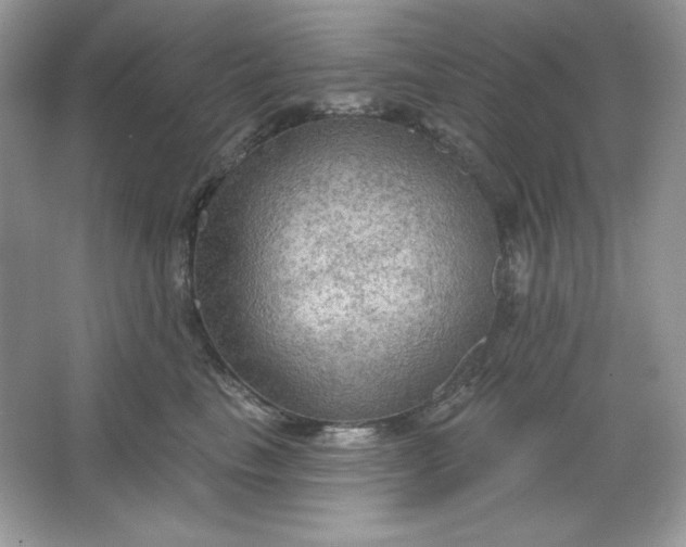 X0000066010665200603171507