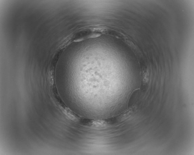 X0000066010666200603171507