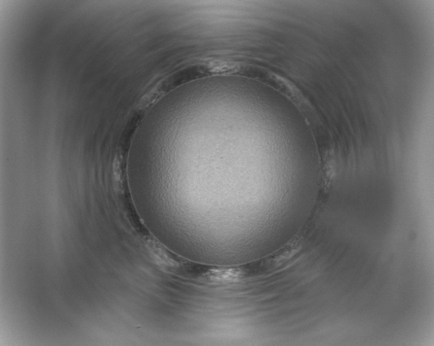 X0000066010667200603171507