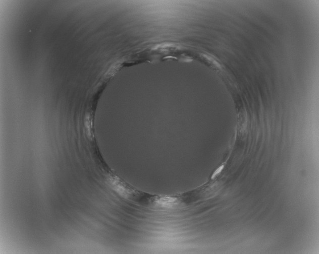 X0000066010669200603171507