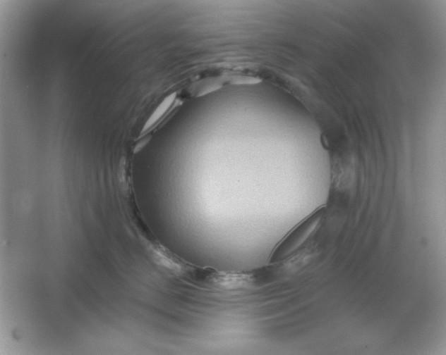 X0000066010670200603171507