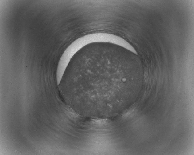 X0000066010671200603171507