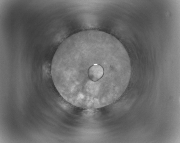 X0000066010672200603171507