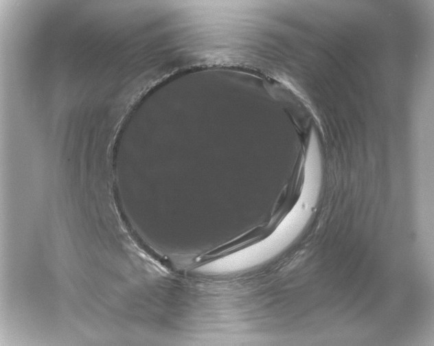 X0000066010673200603171506