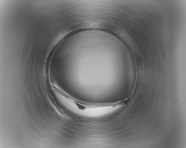 X0000066010674200603171506