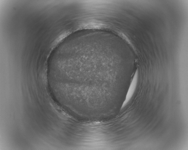 X0000066010675200603171506