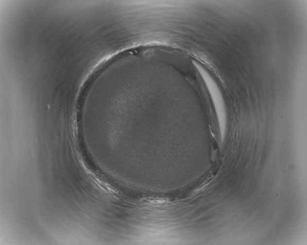 X0000066010676200603171506