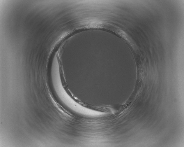 X0000066010677200603171506