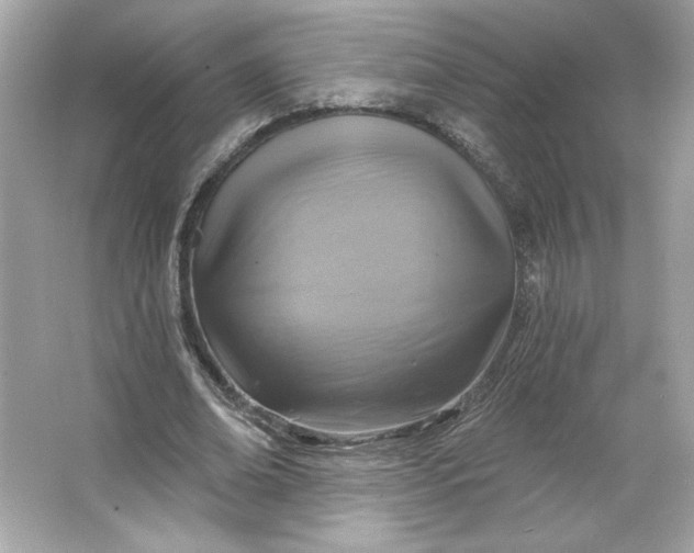 X0000066010678200603171506