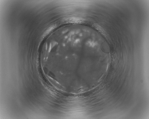 X0000066010679200603171506