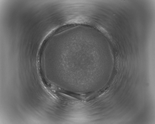 X0000066010680200603171506